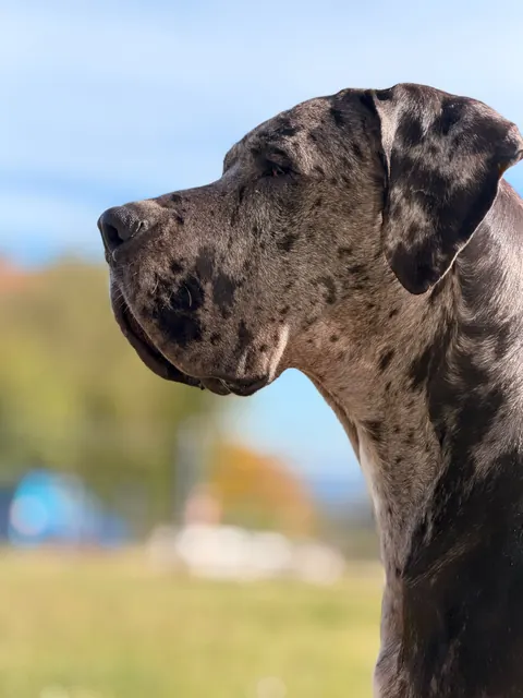 Great Ergen — dam profile sky